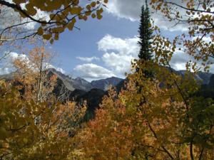 thm_longs in fall.jpg